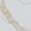 Аглокварцит 3213 CALACATTA GOLD