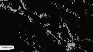 Аглокварцит ARABESCATO BLACK Q921 (АРАБЕСКАТО БЛЭК) - Noble Quartz ()