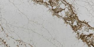 Аглокварцит PANTHEON 9960 (ПАНТЕОН) - Quantra Quartz (Le Magnifique)