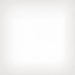 Аглокварцит MOON WHITE (МУН ВАЙТ) - Smart Quartz ()