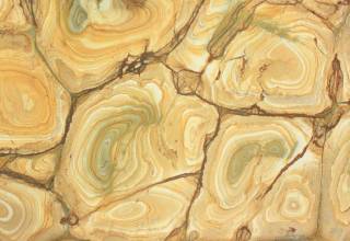 Кварцит STONE WOOD (СТОНЭ ВООД)
